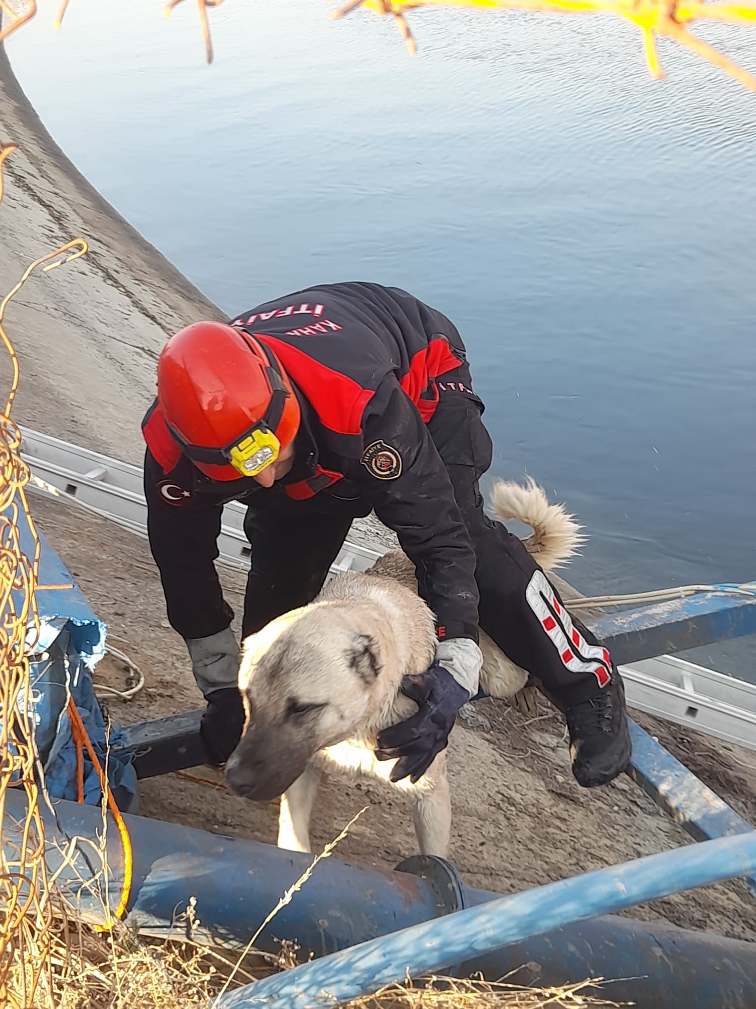 Sulama Kanalındaki Köpek Kurtarıldı (3)