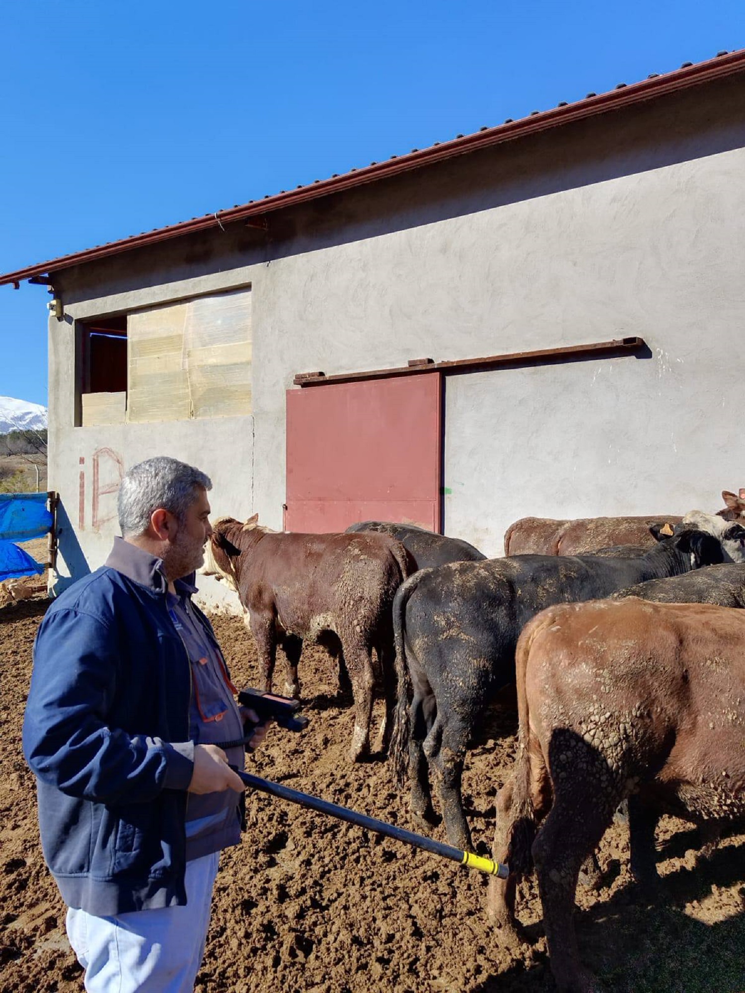 Afşin’de Hayvansal Üretim Ve Sağlık Denetimleri Aralıksız Sürüyor (3)