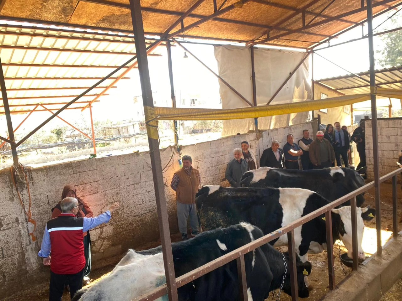 Deprem Bölgesindeki Süt Sığırı Yetiştiricilerine Destek Devam Ediyor2