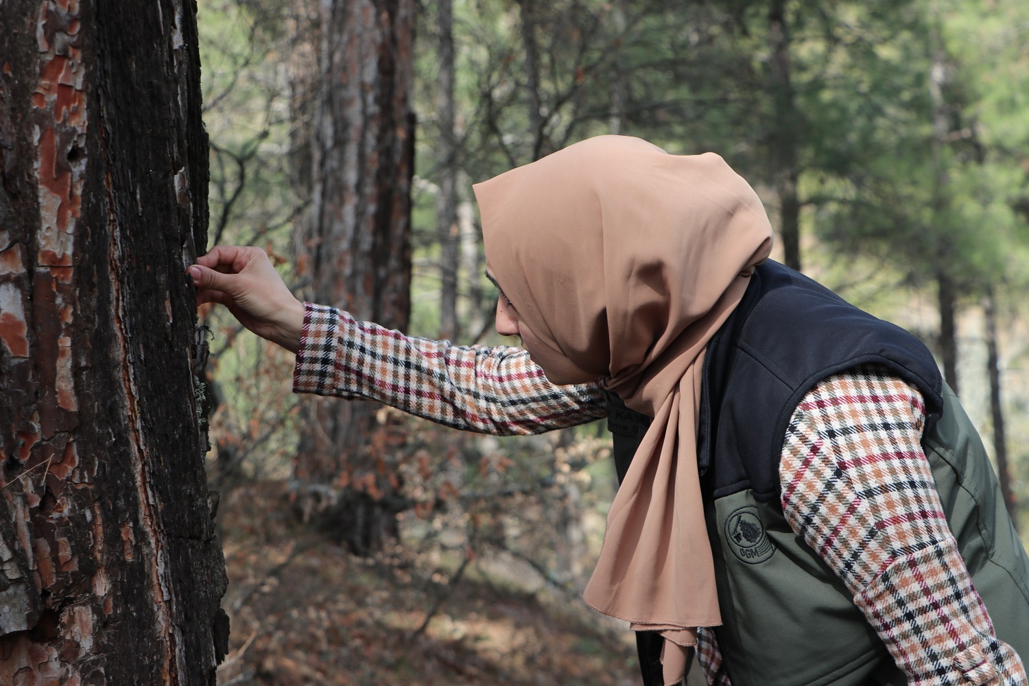 Kahramanmaraş'ta Fidanlar Kadınların Ellerinde Yeşeriyor (11)