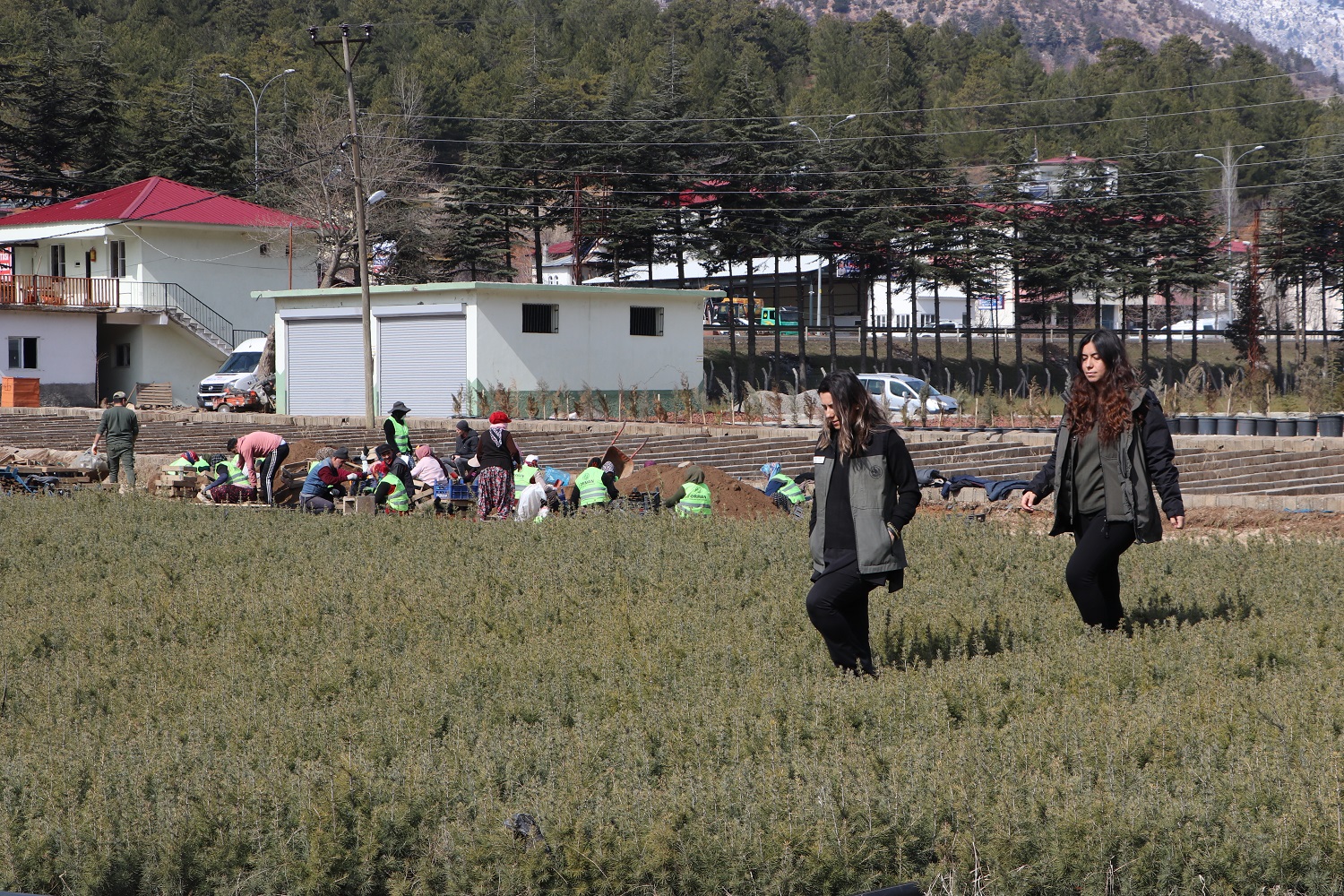 Kahramanmaraş'ta Fidanlar Kadınların Ellerinde Yeşeriyor (12)