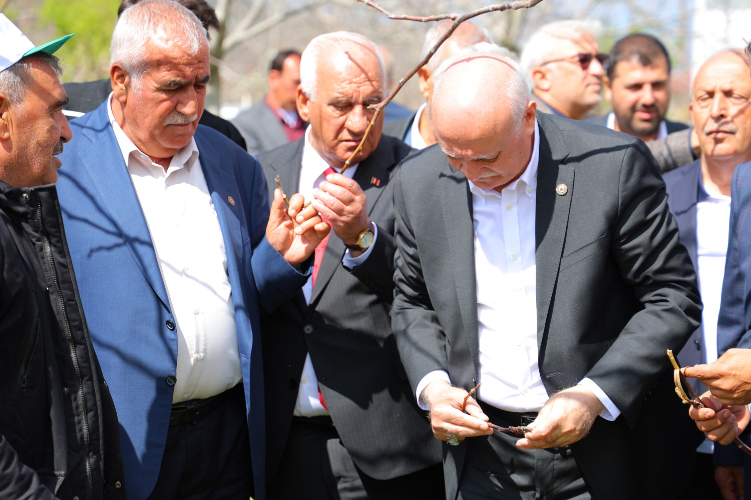 65 İlde Meyve Bahçeleri Don Felaketinden Etkilendi (1)