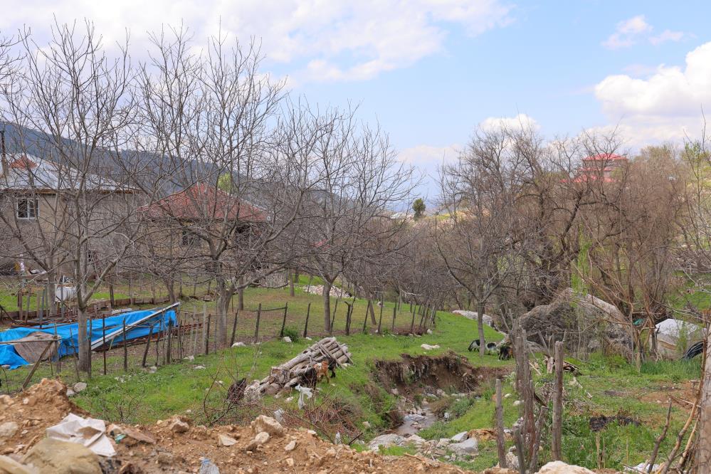 Cevize Don Vurdu, Üreticiler Farklı Alanlara Yöneldi 4