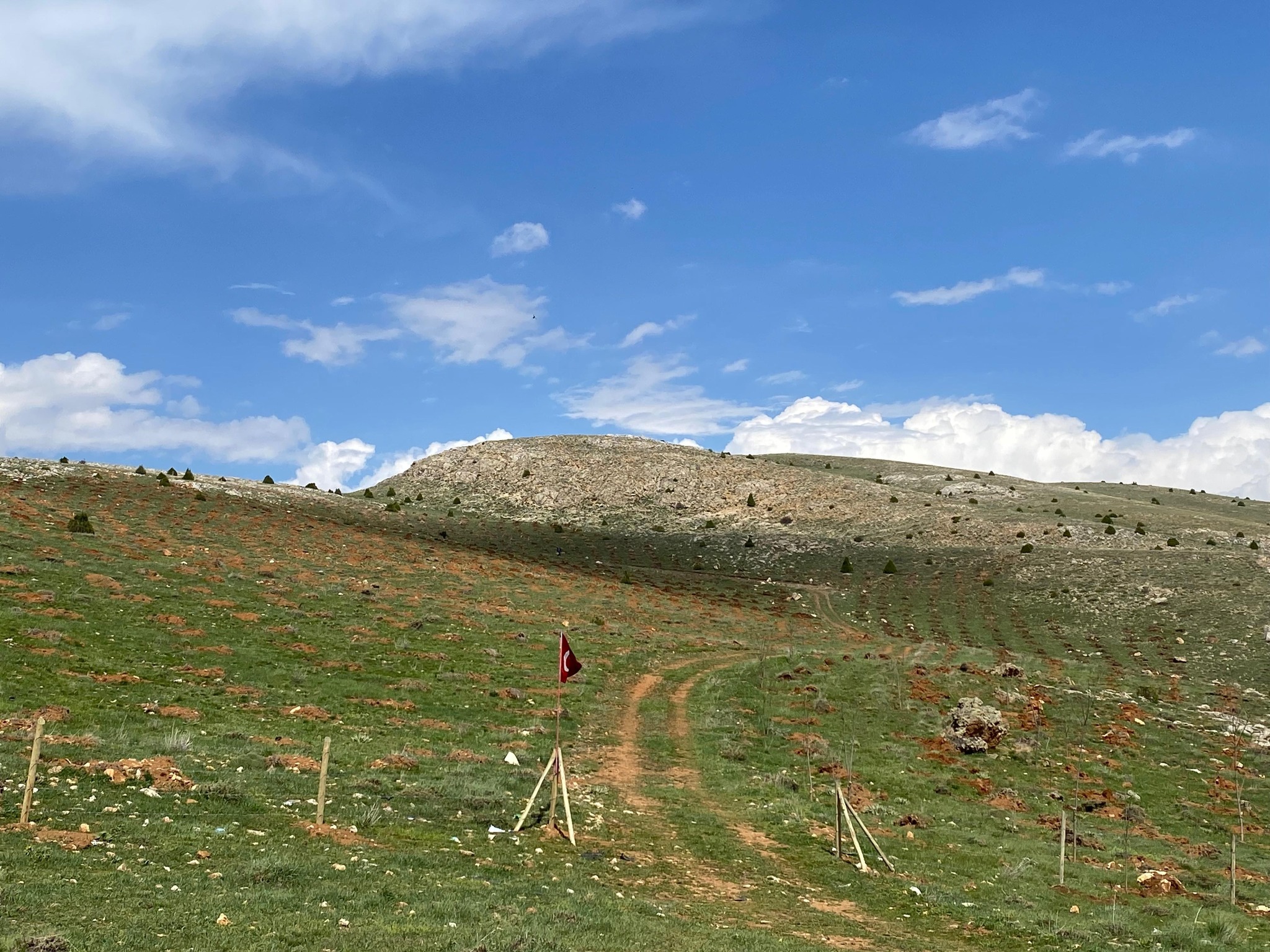 Söğütdere Bal Ormanları Projesi İle 3.957 Fidan Toprakla Buluşacak6