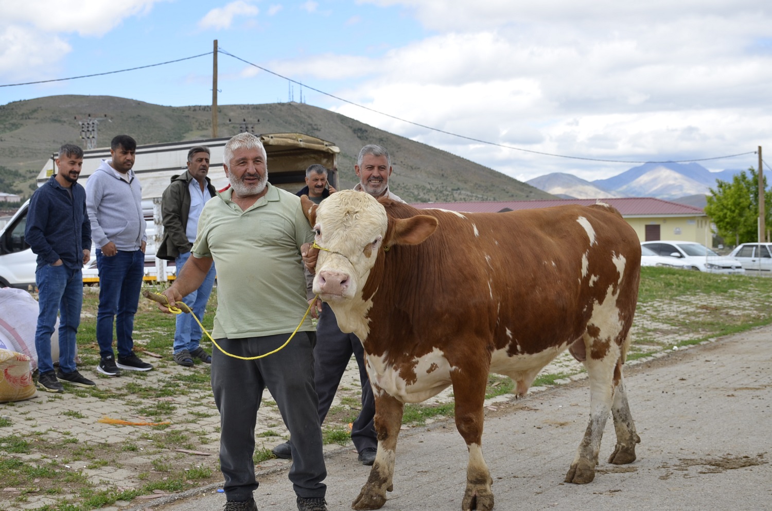 Afşin’de Kurbanlıklar Pazarda Yerini Aldı (12)