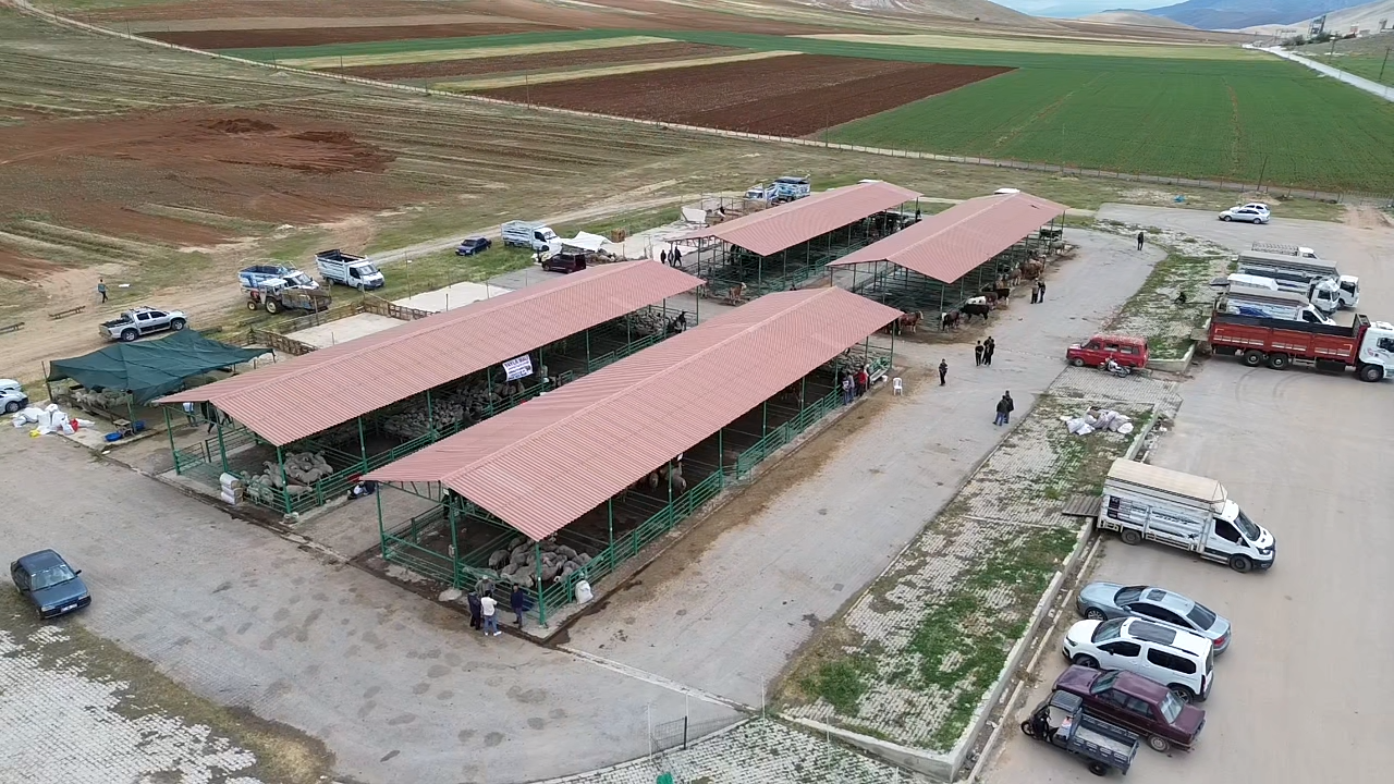 Afşin’de Kurbanlıklar Pazarda Yerini Aldı (2)-1