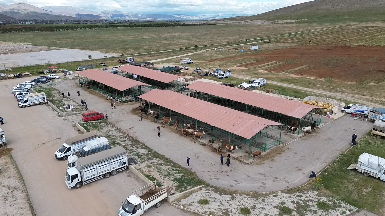 Afşin’de Kurbanlıklar Pazarda Yerini Aldı (3)-1