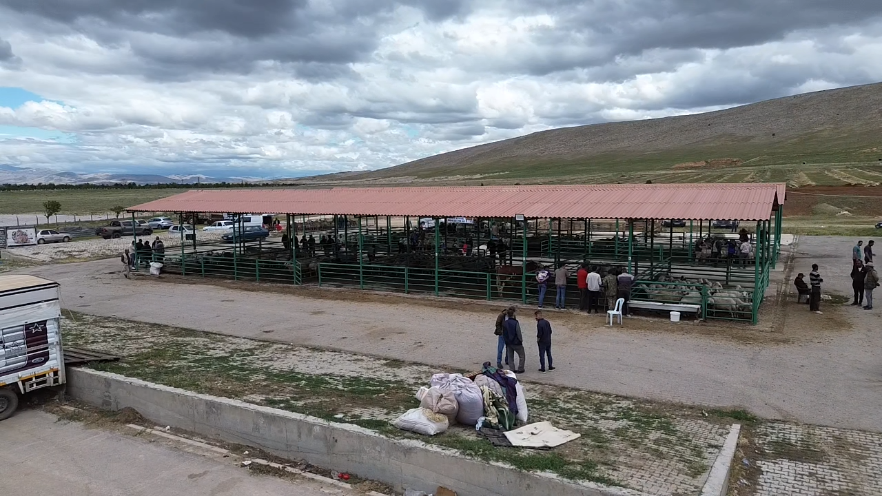 Afşin’de Kurbanlıklar Pazarda Yerini Aldı (4)-1