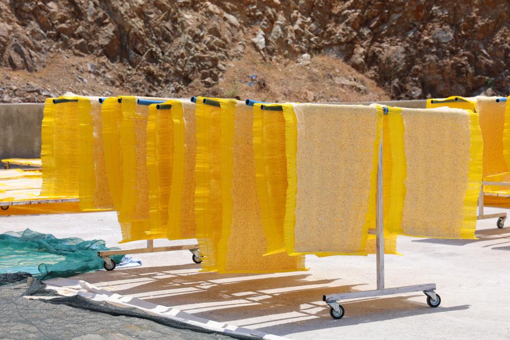 Cips Olarak Avrupa Sofralarına Giren Tarhana, Yılda 25 Bin Ton Üretiliyor 4