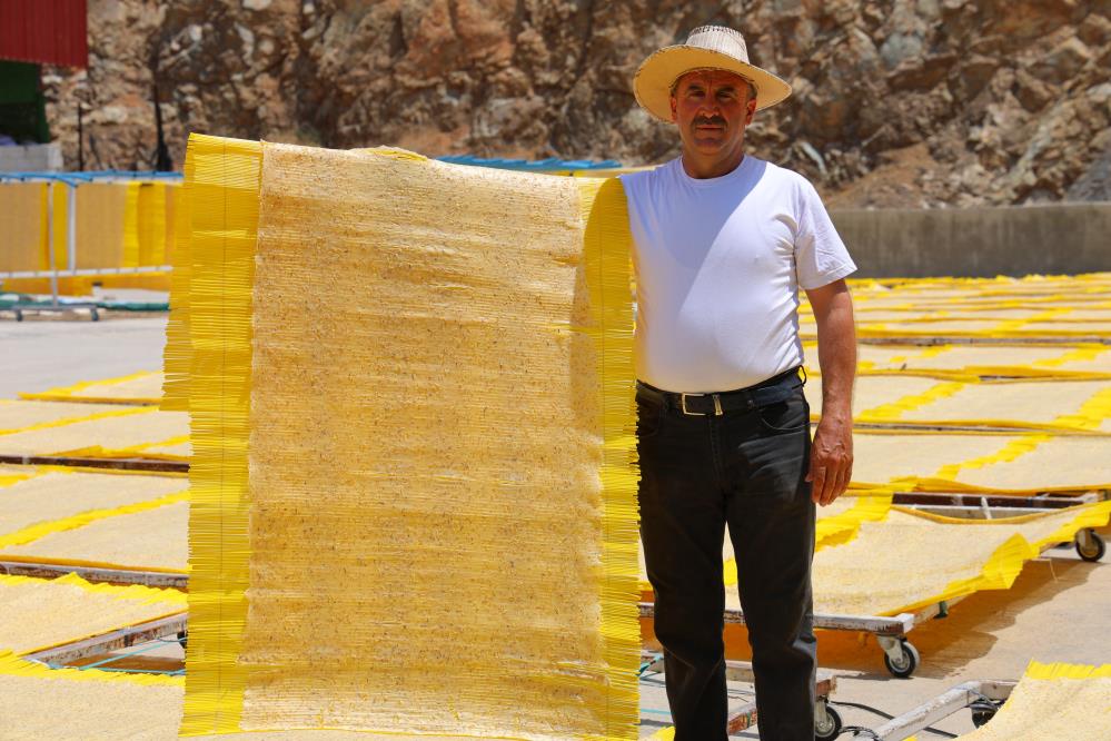 Cips Olarak Avrupa Sofralarına Giren Tarhana, Yılda 25 Bin Ton Üretiliyor 5