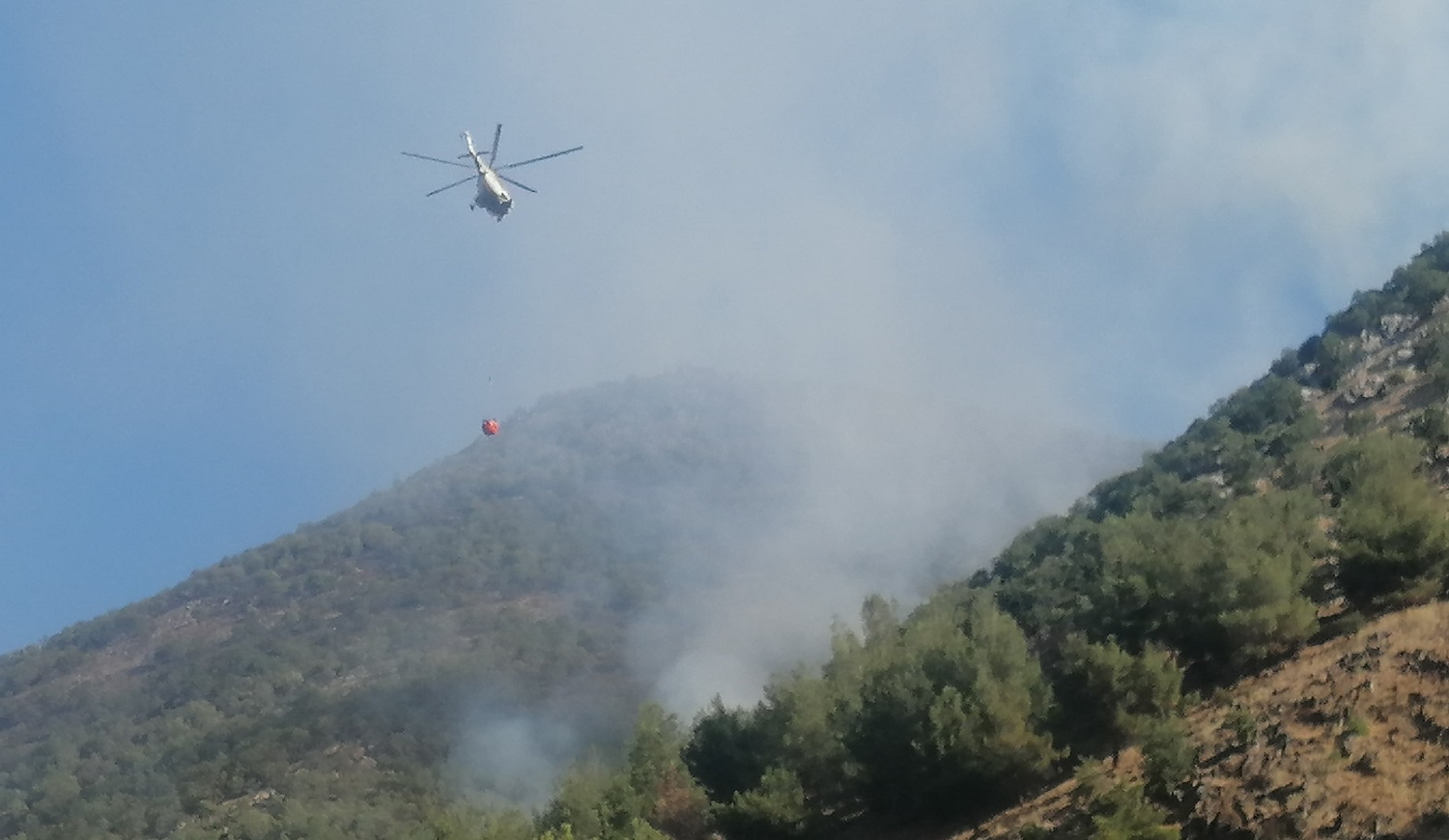 Kahramanmaraş'ta Çıkan Orman Yangınını Söndürme Çalışmaları Sürüyor (1)
