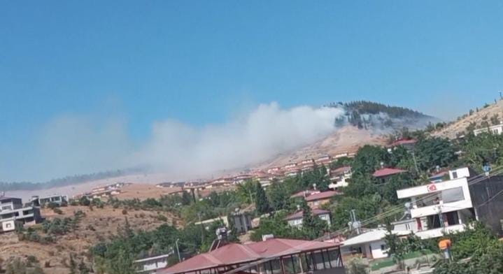 Kahramanmaraş'ta Orman Yangını 1
