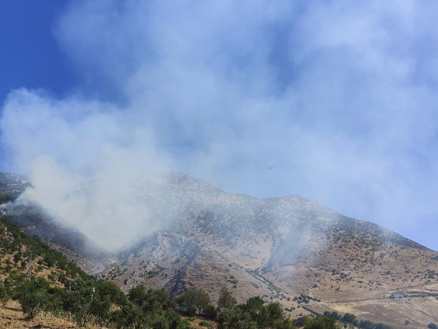 Kahramanmaraş’ta Ormanlık Alanda Yangın Çıktı (1)