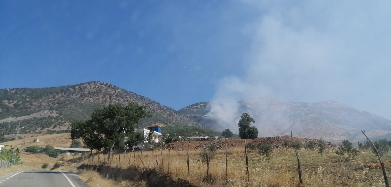 Kahramanmaraş’ta Ormanlık Alanda Yangın Çıktı (3)