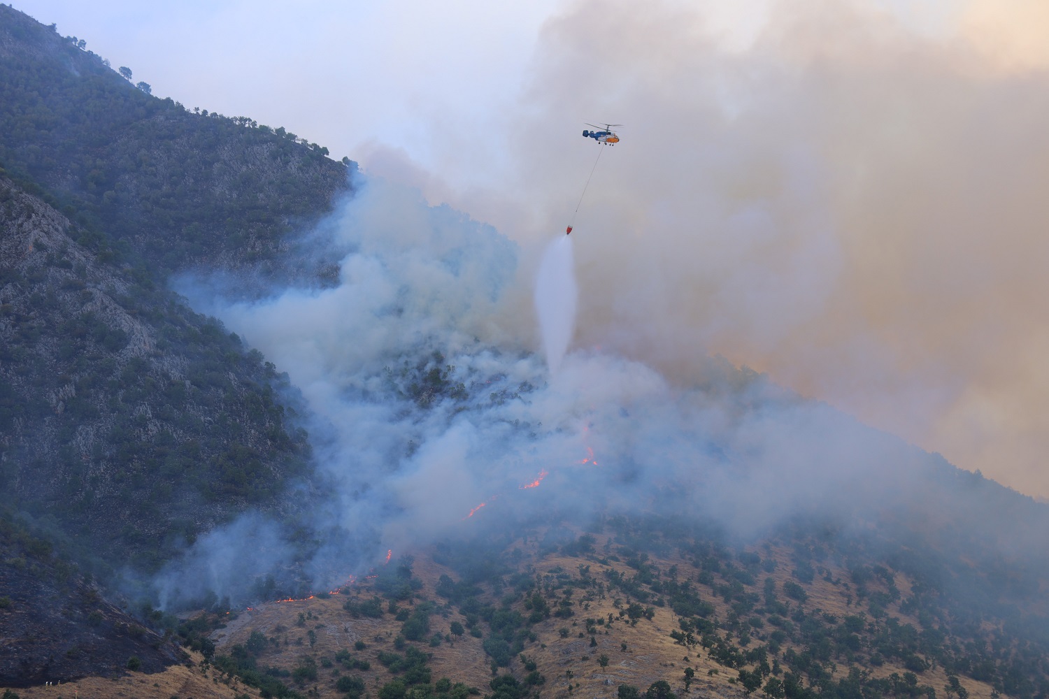Kahramanmaraş'taki Orman Yangınına 26 Saattir Müdahale Ediliyor (2)