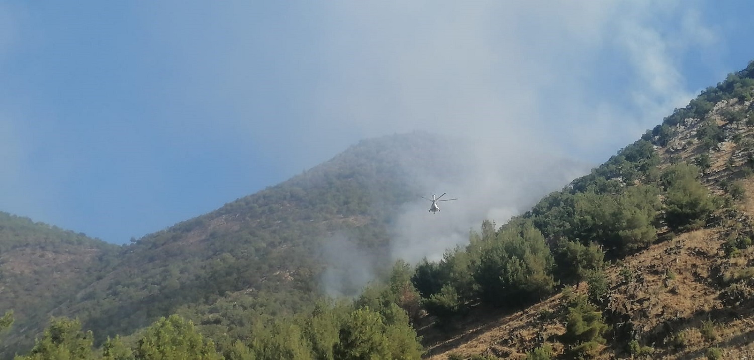 Kahramanmaraş'taki Orman Yangınına 26 Saattir Müdahale Ediliyor (3)