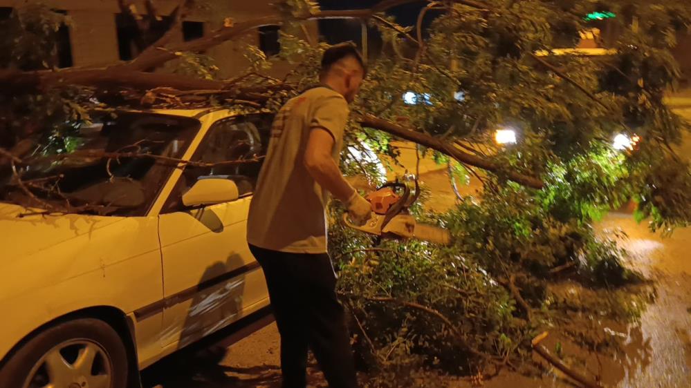 Park Halindeki Otomobilin Üzerine Ağaç Devrildi 1