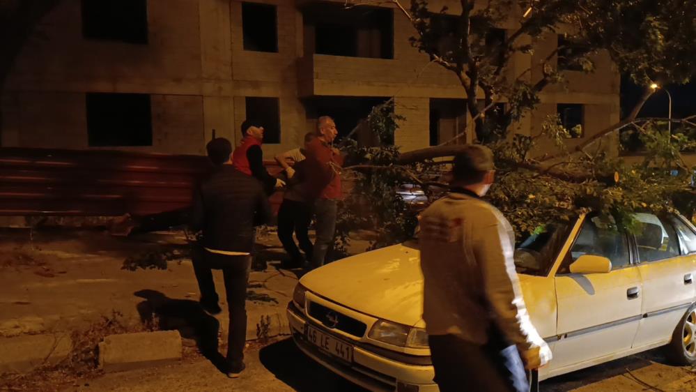 Park Halindeki Otomobilin Üzerine Ağaç Devrildi 3