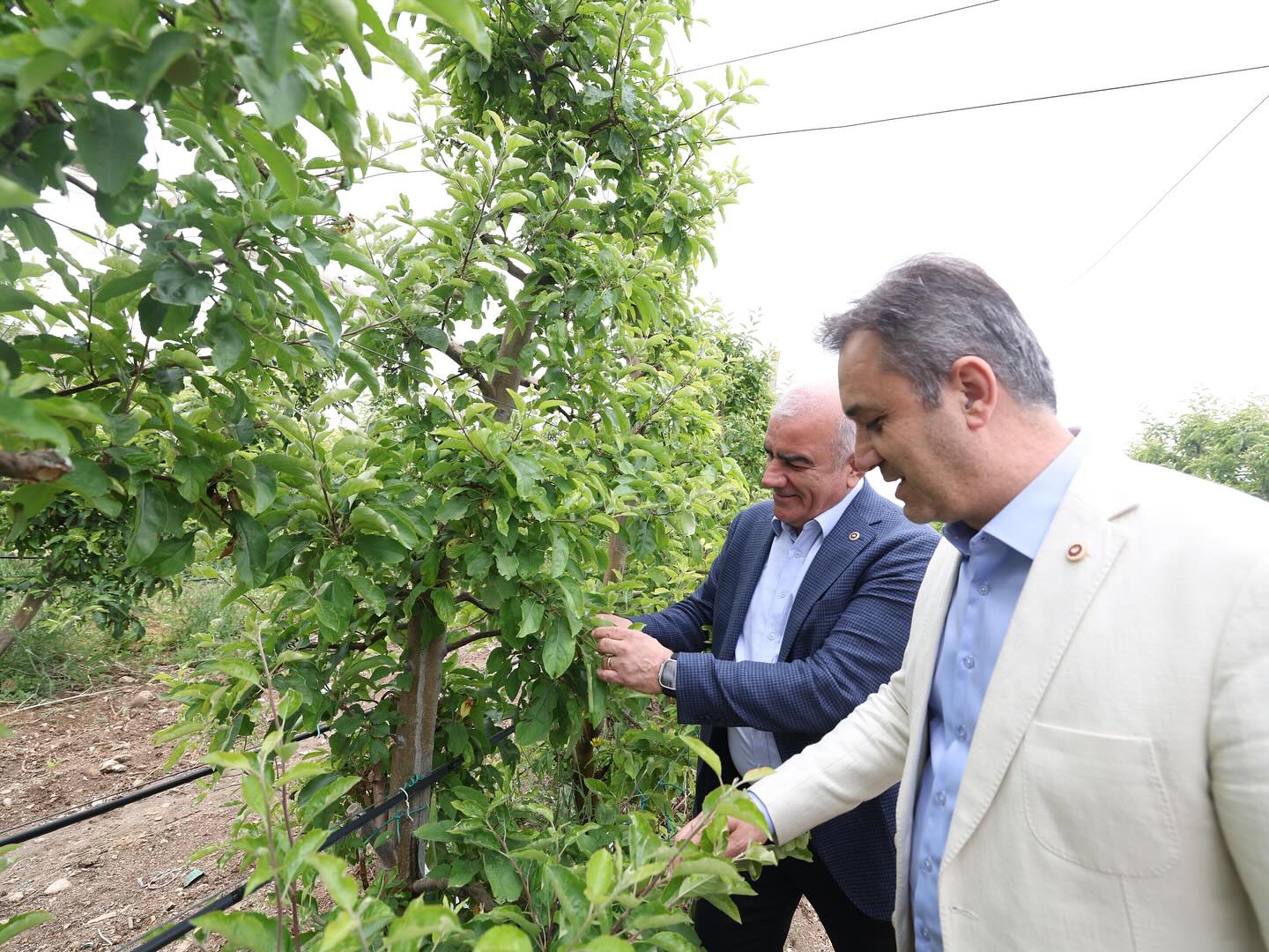Tbmm Zirai Don Araştırma Komisyonu Karaman'da İncelemelerde Bulundu4