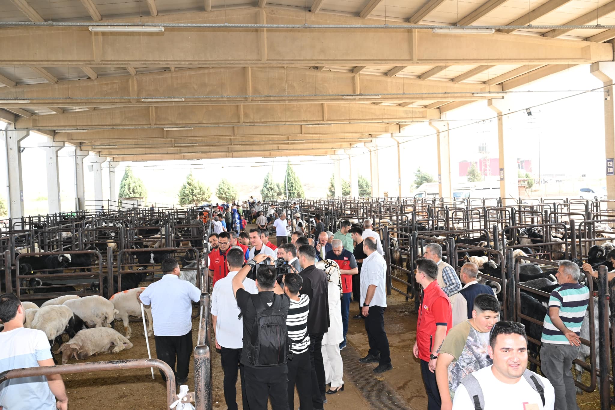 Vali Ünlüer, Kurban Bayramı Öncesi Canlı Hayvan Borsasını Ziyaret Etti2
