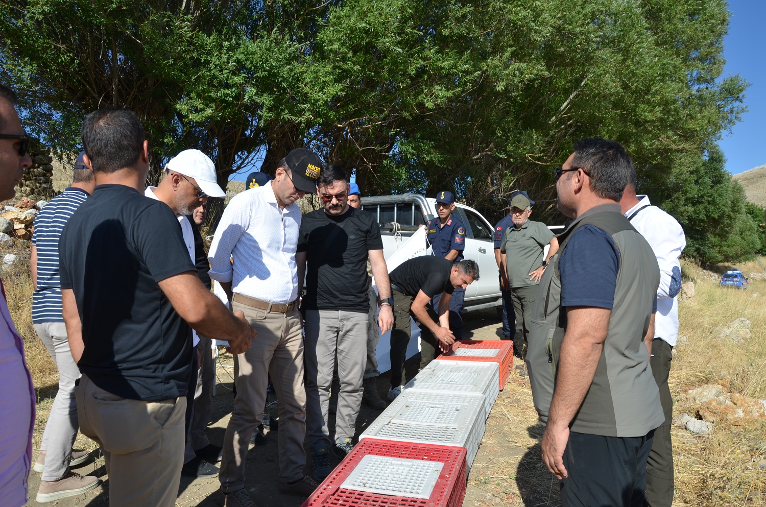 Afşin’de Doğaya 200 Keklik Salındı (1)