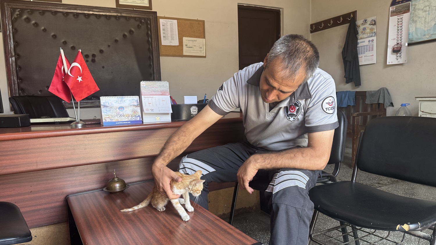 Ağaçta Mahsur Kalan Yavru Kediyi Güvenlik Görevlisi Kurtardı (3)