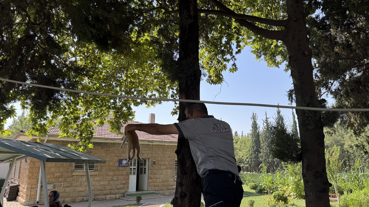 Ağaçta Mahsur Kalan Yavru Kediyi Güvenlik Görevlisi Kurtardı (4)