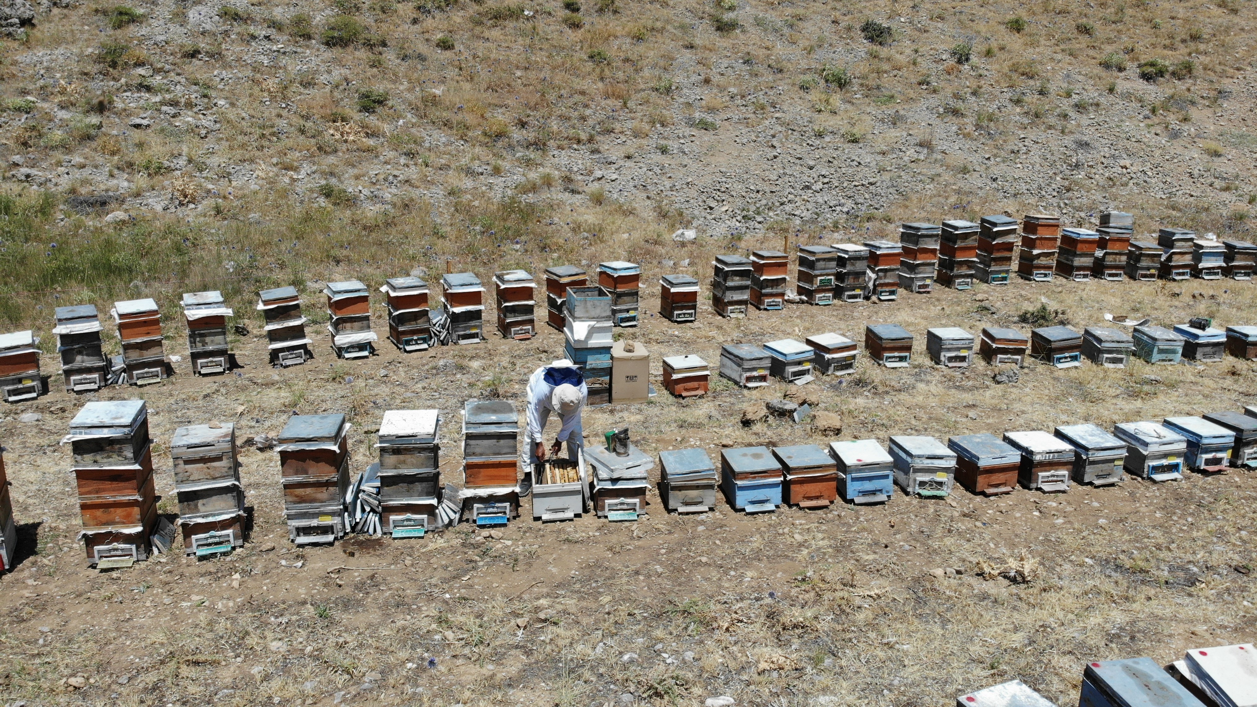 Kahramanmaraş'taki Engizek Yaylası'nda Bal Mesaisi