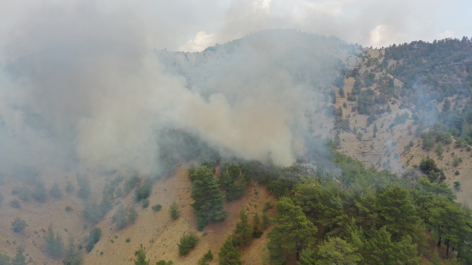 Kahramanmaraş'taki Orman Yangınına Müdahale 3. Gününde Sürüyor (1)