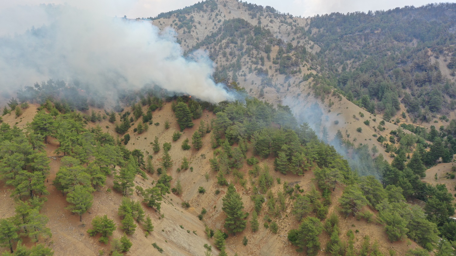 Kahramanmaraş'taki Orman Yangınına Müdahale 3. Gününde Sürüyor (7)
