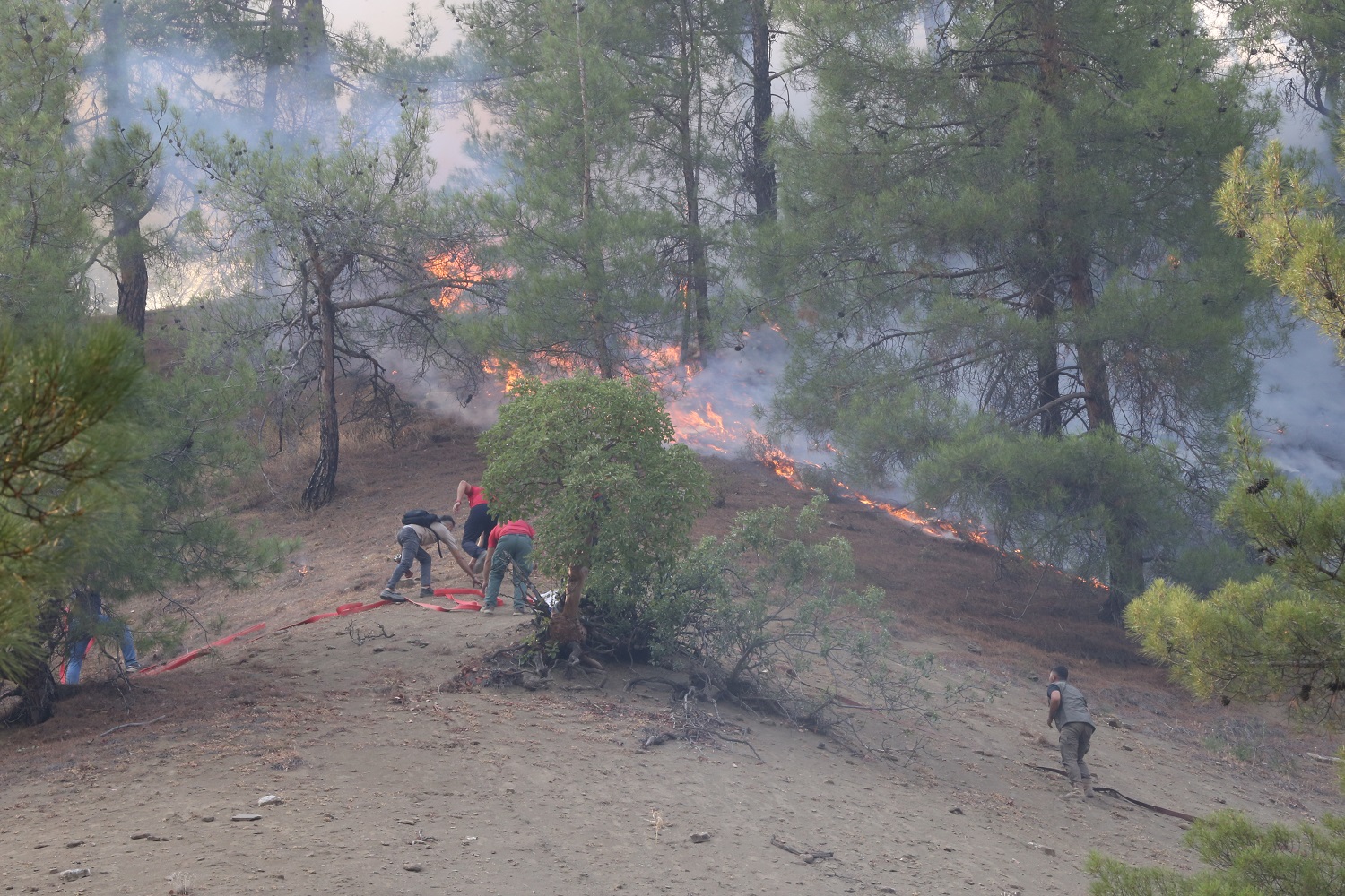 Kahramanmaraş'taki Orman Yangınına Müdahale 3. Gününde Sürüyor (8)