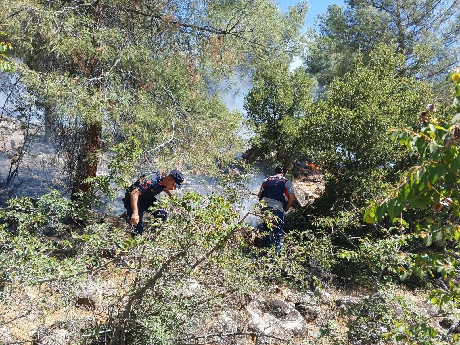 Piknik Yapmak İstediler Ormanı Yaktılar (1)