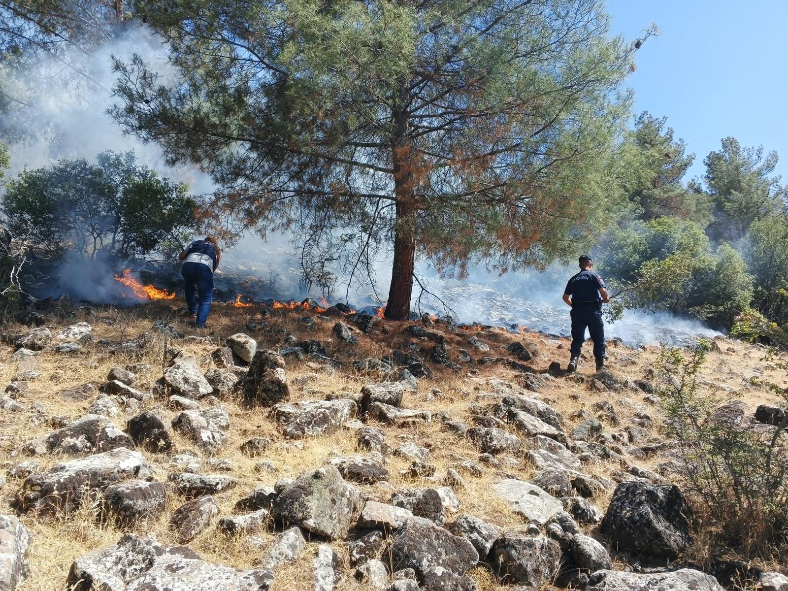 Piknik Yapmak İstediler Ormanı Yaktılar (2)