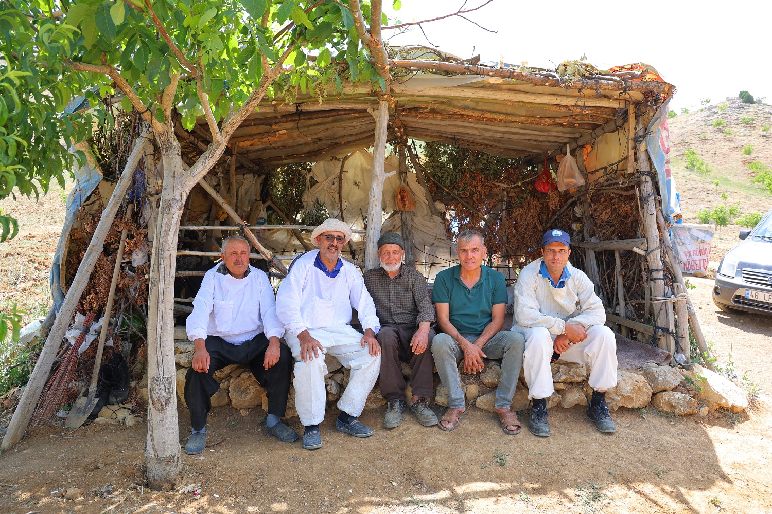 Ağaç Kütüğünde Doğal Bal (3)
