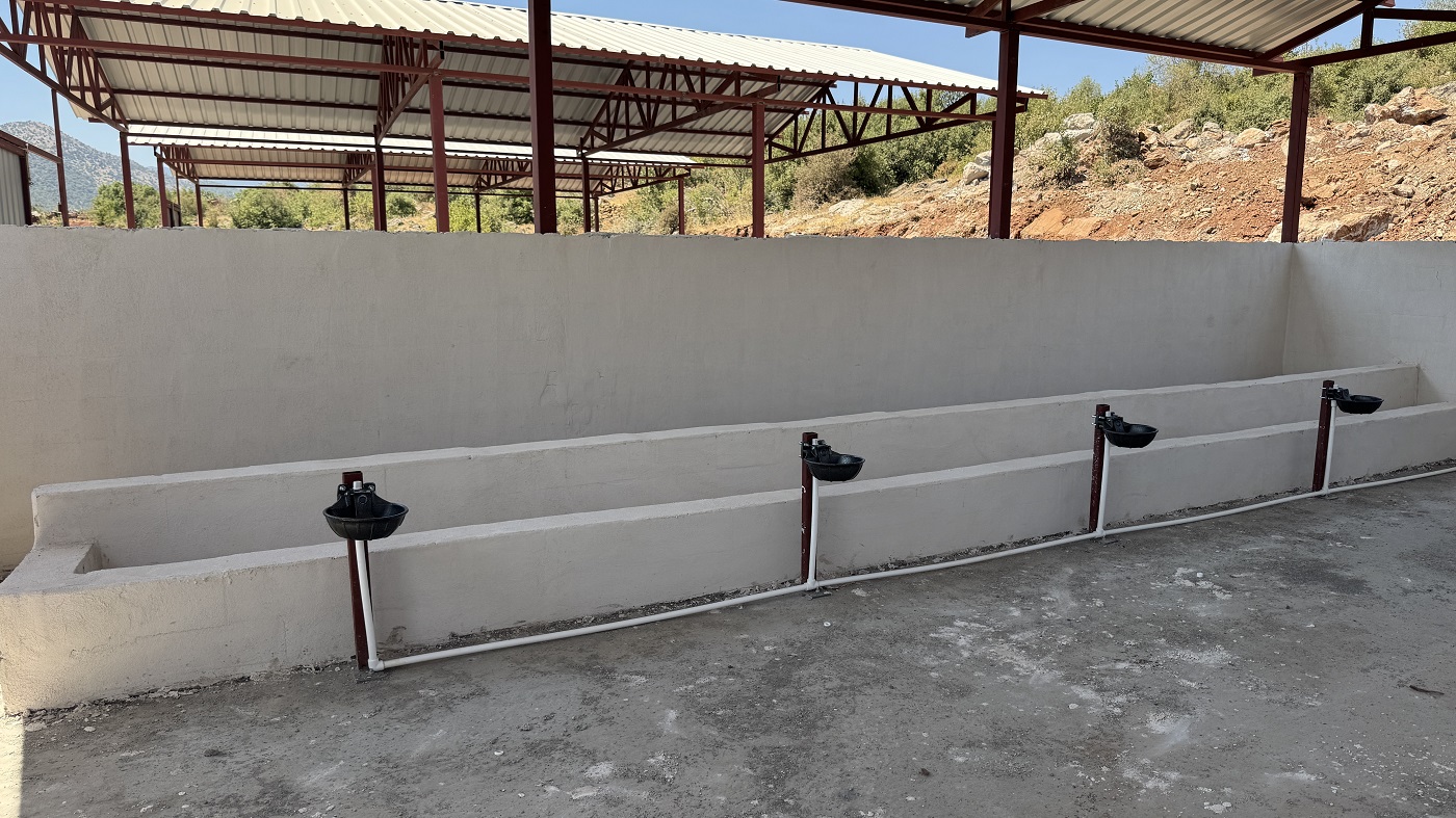 Depremzede Besicilere Yapılan 537 Ahır Yıl İçinde Teslim Edilecek (3)