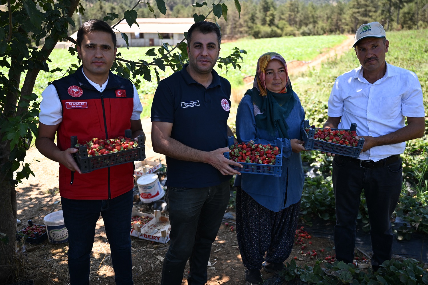 Devlet Destekli Depodan 50 Ülkeye Çilek İhracatı (3)