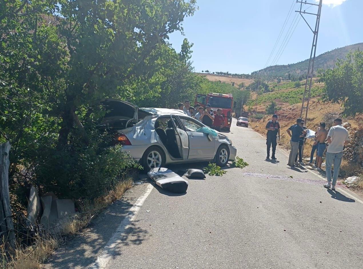 Ehliyetsiz Sürücü Ağaca Çarptı 1 Ağır 3 Yaralı 4