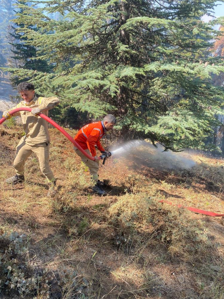 Göksun'daki Orman Yangınına Müdahale Sürüyor 1