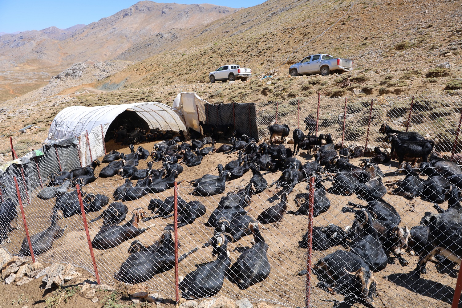 Güneşten Gelen Enerji, Yaylalarda Hayatı Kolaylaştırıyor (2)