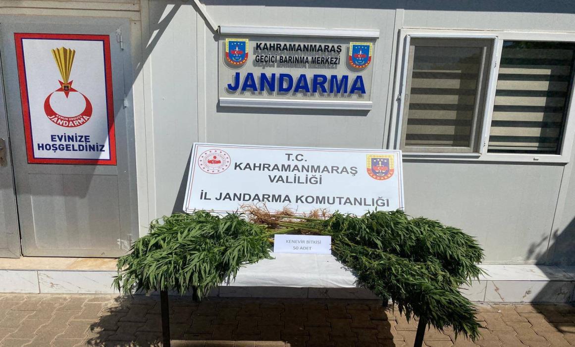 Jandarmadan Huzur Operasyonu 13 Kişi Tutuklandı (2)-1