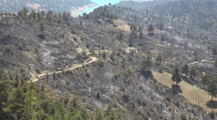 Kahramanmaraş’ın Onikişubat Ilçesinde Orman Yangınında Evi Yanan Vatandaş Yardım Istedi. 2