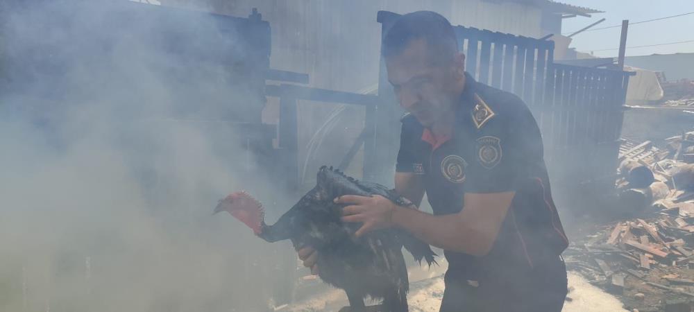 Kahramanmaraş'ta Ahşap Palet Üretim Tesisi Yangını 4
