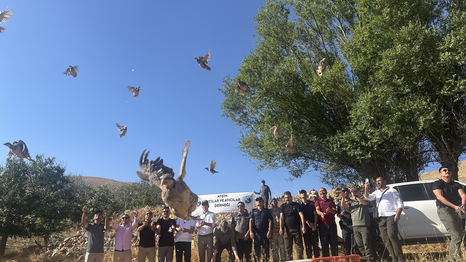 Kene Avcısı Kınalı Kekliklere Dürbünlü, Fotokapanlı Ve Dronlu Takip (3)