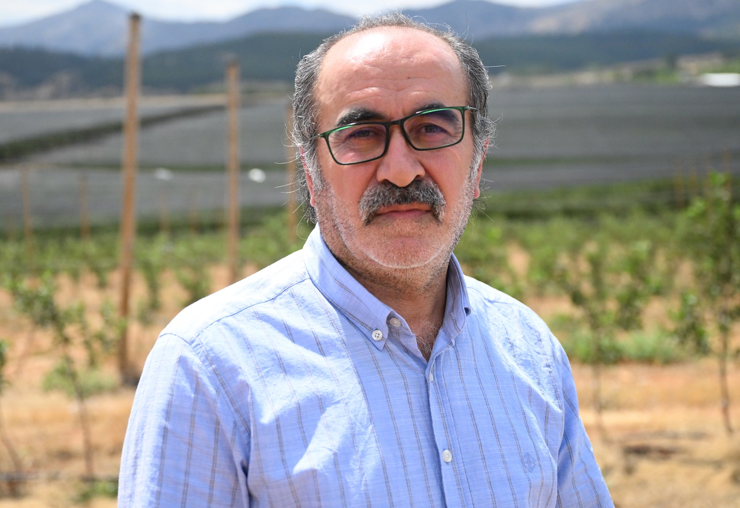 Meyve Ağaçlarına ‘Stres’ Alarmı Sıcaktan Koruyun (5)