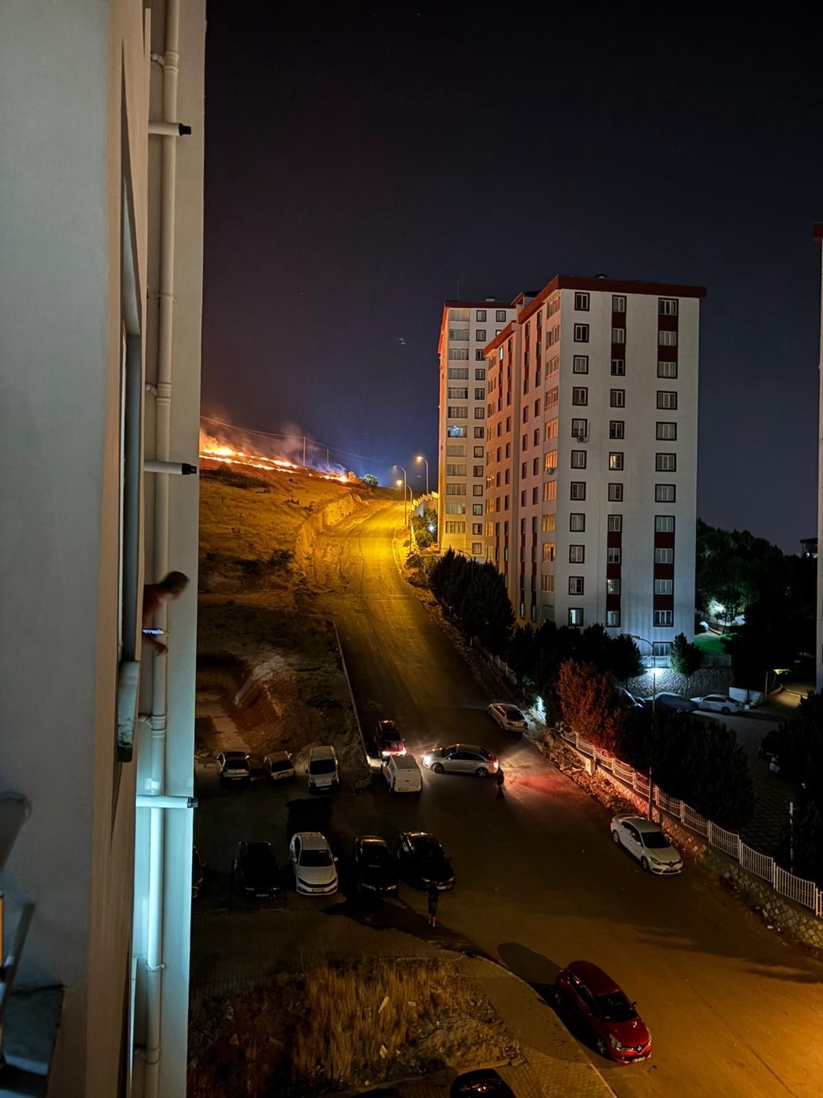 Otluk Alanda Yangın (1)