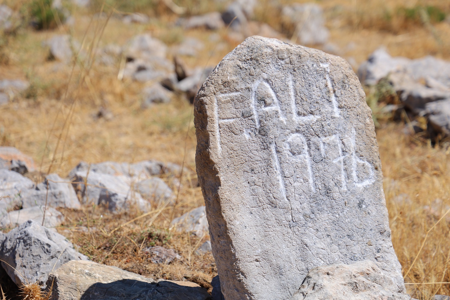 Yaylacılardan Geriye Mezar Taşları Kaldı (3)