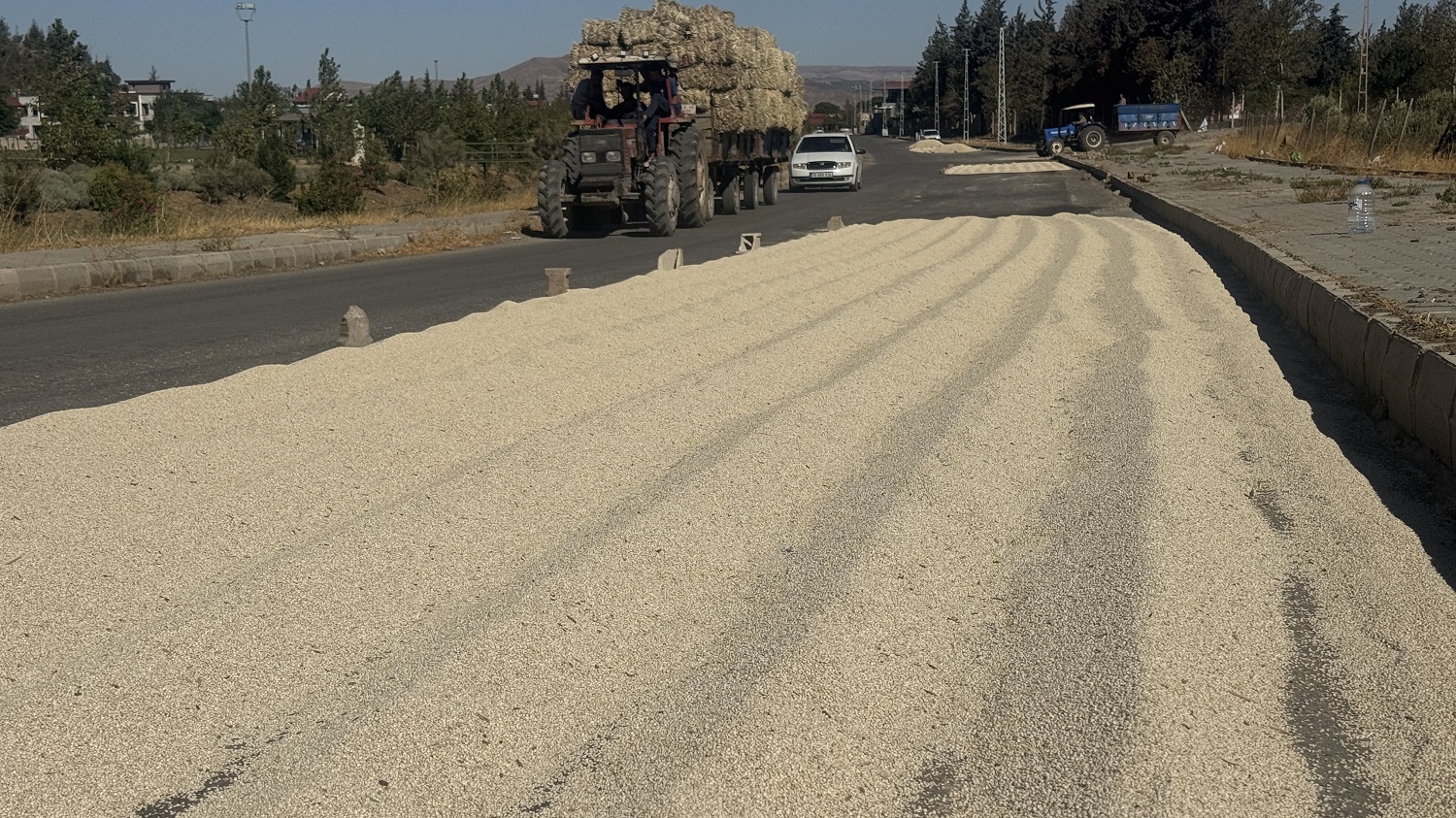 Çiftçiler 'Akdarı'yı Kuşlardan Dronla Koruyor (2)