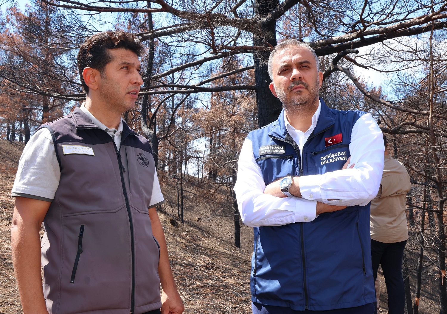 Kahramanmaraş'ta Yanan Ormanlık Alanlar Fidanlarla Buluşturulacak (1)