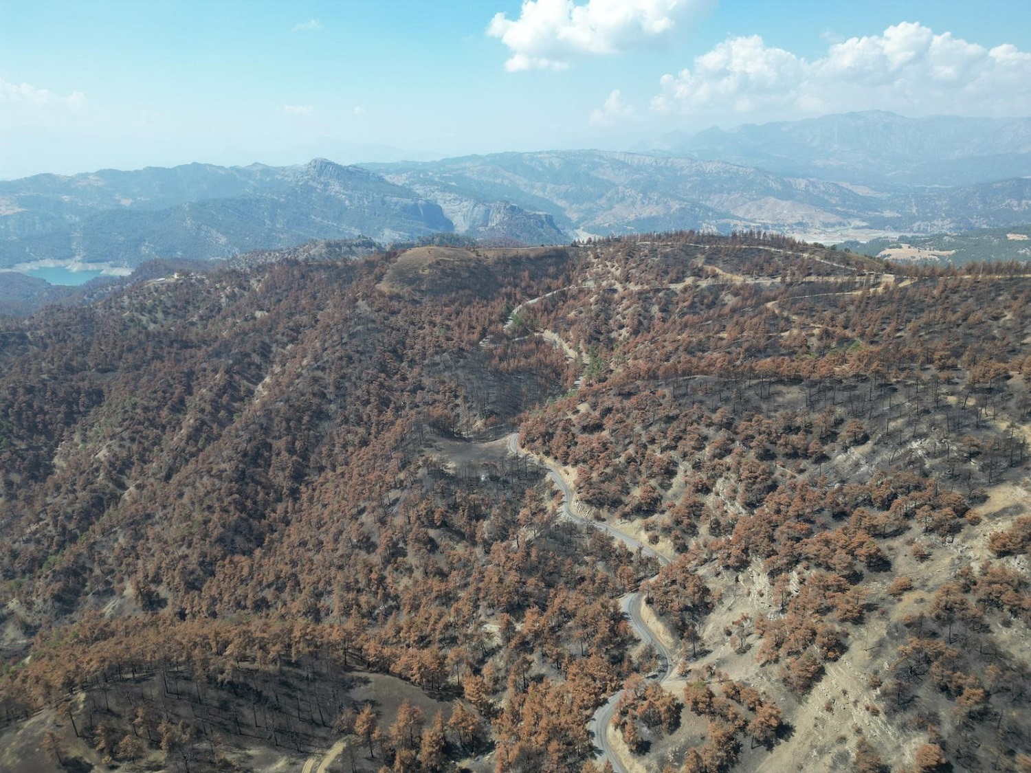 Kahramanmaraş'ta Yanan Ormanlık Alanlar Fidanlarla Buluşturulacak (3)