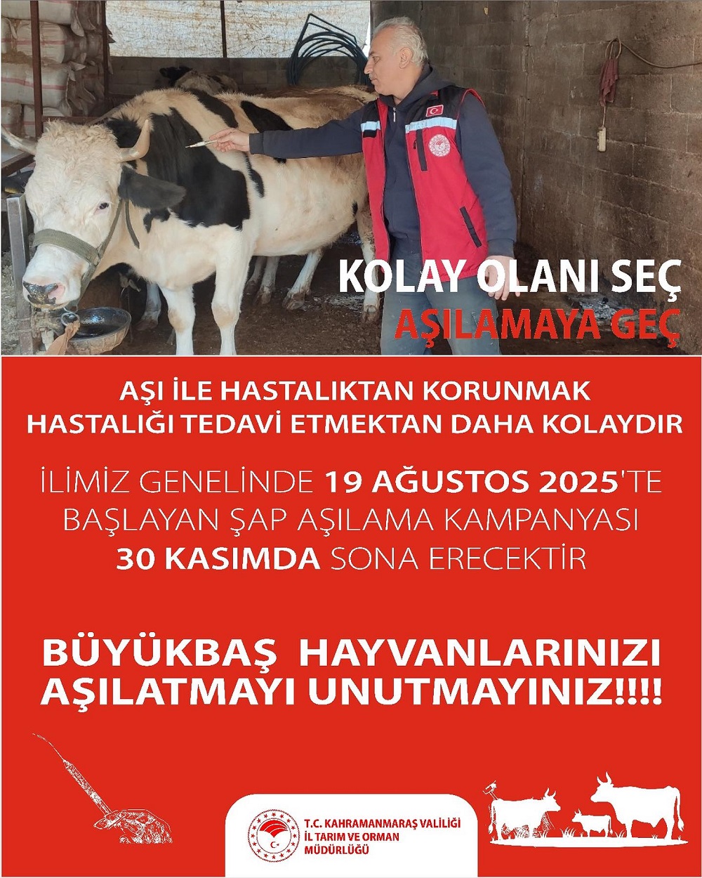 Şap Aşılama Kampanyası Başladı